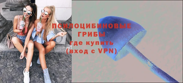 трава Заволжск