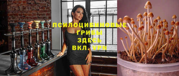 spice Заволжье