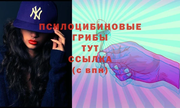 трава Заволжск