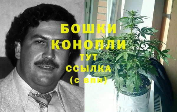 трава Заволжск