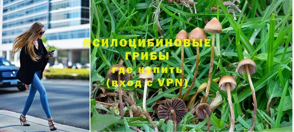 трава Заволжск