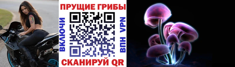 Купить  Калининец  Галлюциногенные грибы MAGIC MUSHROOMS 