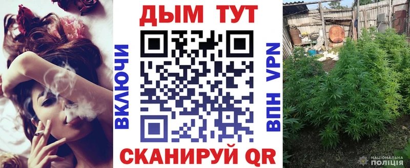Бошки марихуана MAZAR Калининец